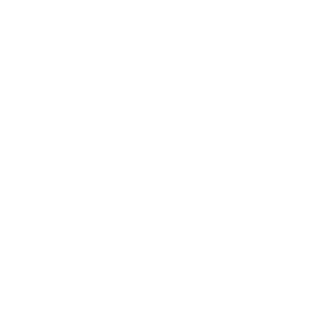 Logo Playables